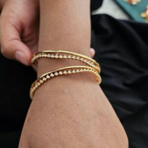 Aneisha delicate bangles